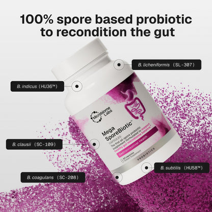 Microbiome Labs MegaSporeBiotic Probiotics for Women & Men - Spore-Based Probiotic for Gut Health & Digestive Support - Shelf-Stable, Travel-Friendly, Mens & Womens Probiotics (60 Capsules)